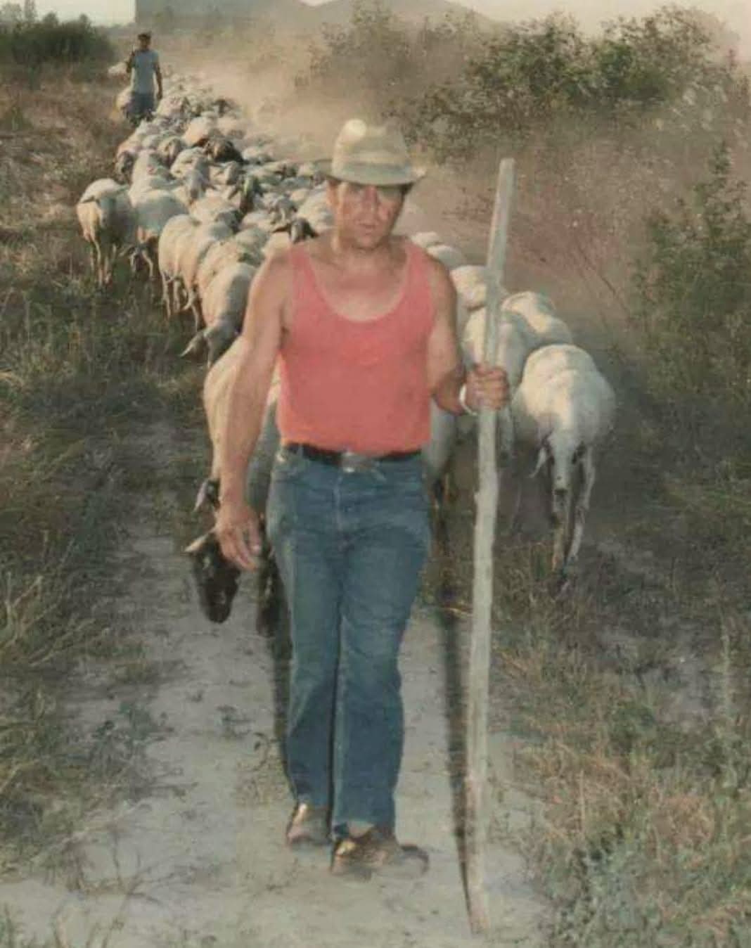 [Nessun titolo dell'immagine presente] - Un uomo in canottiera rossa, jeans e cappello cammina con un grosso bastone davanti a un gregge di pecore su un sentiero sterrato, mentre un'altra persona lo segue sullo sfondo. Erba secca e polvere li circondano.